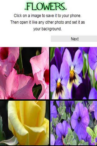 【免費個人化App】Flower Backgrounds-APP點子