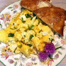 Creamy Scrambled Eggs