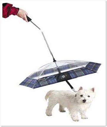 dog-umbrella-leash-1
