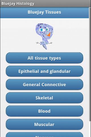 Tissue Flashcards: Histology