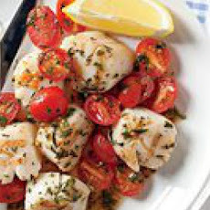 Scallops with Herbed Raw Tomato Sauce