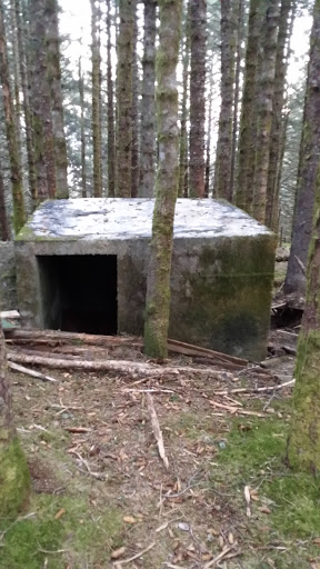 Ww2 Storage Bunker #1