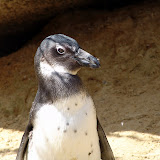 Zoologischer Garten Wuppertal