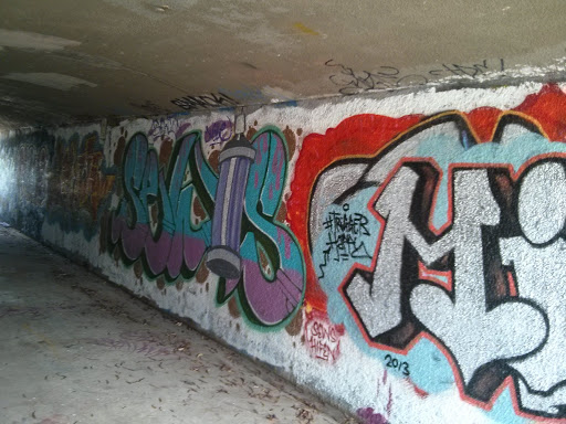 Marr Street Artist Tunnel