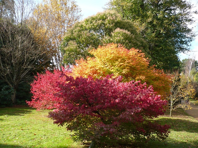 [Glorious colour[3].jpg]