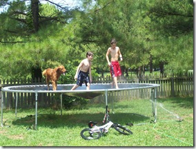 Summer 2008 002