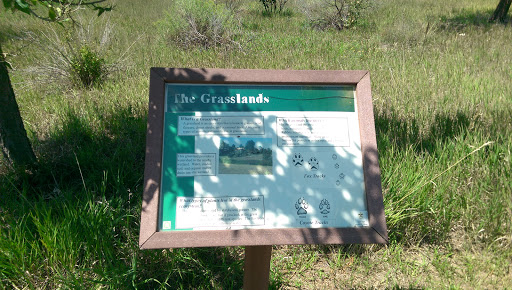 The Grasslandd