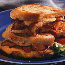 Grilled Cheddar, Tomato and Bacon Sandwiches