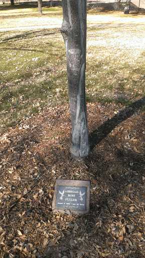 Abigail Rose Fuller Memorial