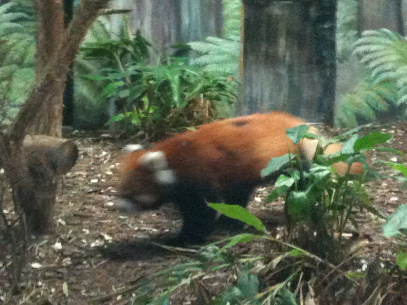 Spotting Image 1