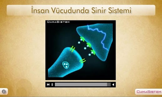 How to download İnsan Vücudunda Sinir Sistemi patch 1.0.33 apk for android