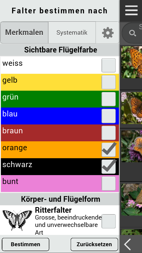 Android application Schmetterlinge bestimmen screenshort