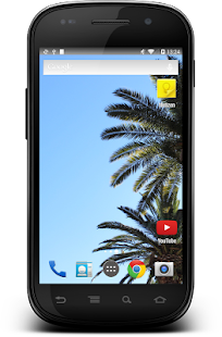 How to download Palms in Sky Wallpaper Theme lastet apk for android