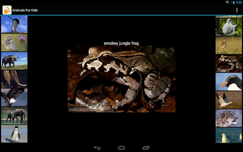 How to install Animals For Kids patch 1.0 apk for pc