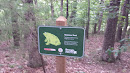 American Toad Sign