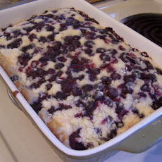 Blueberry Snack Cake