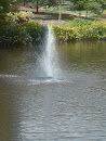 Fountain 3