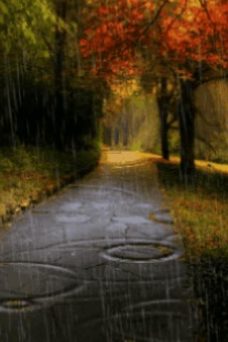 【免費個人化App】Rain In Autumn Live Wallpaper-APP點子