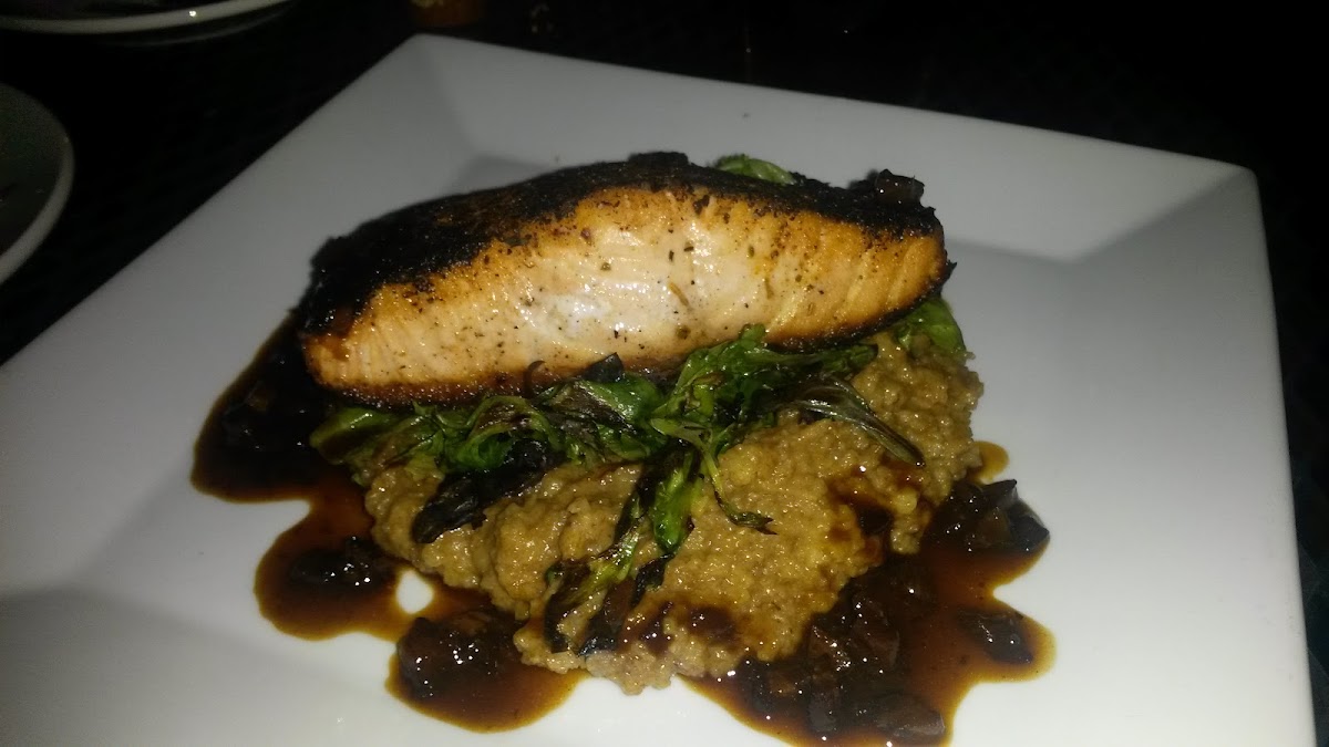 GF blackened salmon over polenta with bits of Italian ham in a rich GF brown sauce