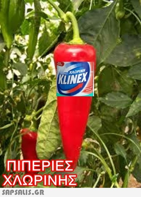 ΧΑΟΡΙΝΗ KLINEX ΠΙΠΕΡΙΕΣ ΧΛΩΡΙΝΗΣ 