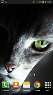 How to mod Feline Live Wallpaper HD 1.1 unlimited apk for bluestacks