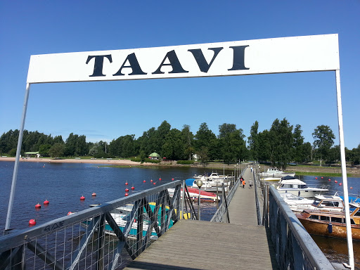 Taavi (silta)