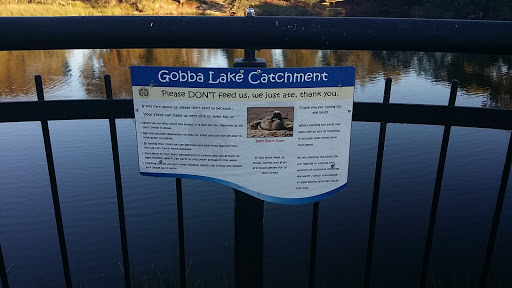 Gobba Lake Catchment 