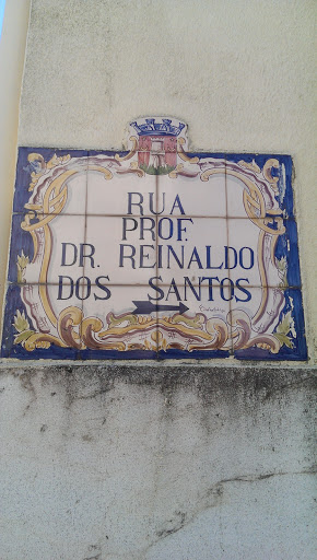 Professor Doutor Reinaldo Dos Santos 