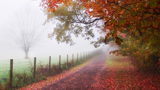 How to download Fog Wallpaper 1.0 apk for android