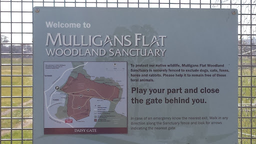 Mulligans Flat Daisy Gate
