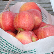 Fresh Apple Coffee Cake
