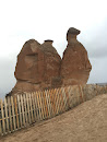 Camel Rock