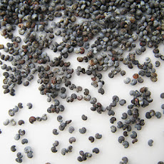 Lemon-Poppy Seed Shortbread