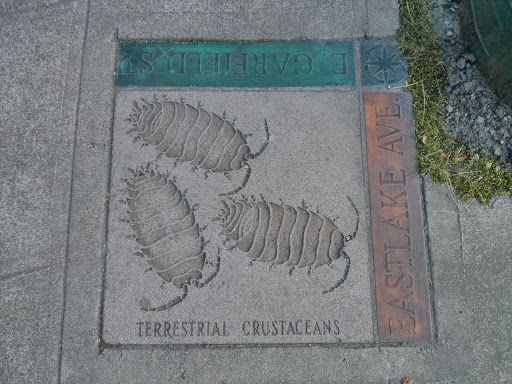 Terrestrial Crustaceans 