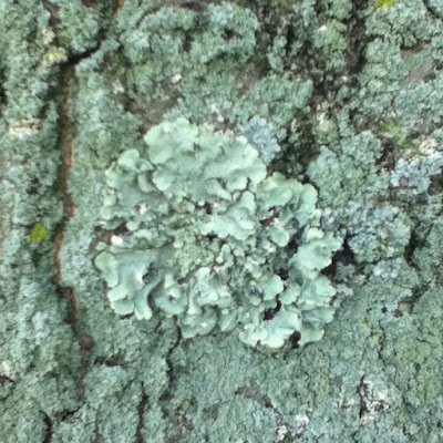Help Image 1