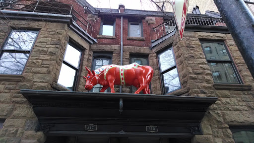 Balcony Bull