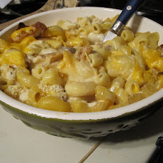Creamy Macaroni and Cheese