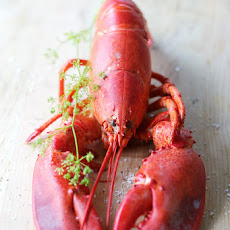 Lobster salad with tarragon