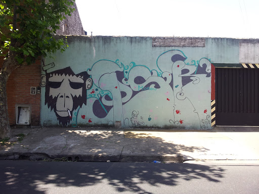 Graffiti Mono