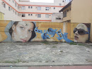 Grafite Mulher De Capuz