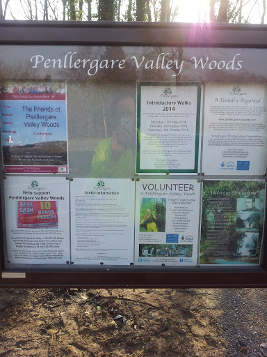 Penllergare Valley Woods 3