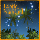 Exotic Nightfall Free