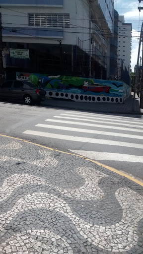 Grafite Canal De Santos
