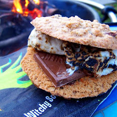 Oatmeal Chocolate Chip Raisin Cookie S'mores
