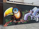 Tucan Mural