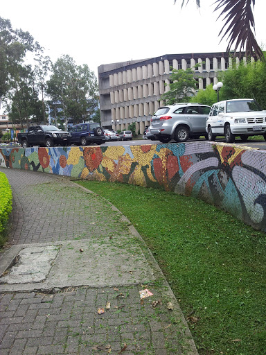 Mural Ucr Cancha