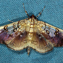 Basswood Leafroller