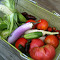 Homegrown Healthy