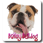 Bailey Bulldog Pictures Apk