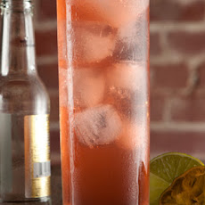 Pink Plymouth Gin & Tonic